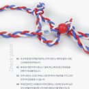 은평구 새절역필라테스] 레드밸런스 라쿠다밴드 워크샵 후기