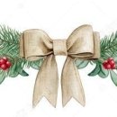 생명그리고빛 이미지