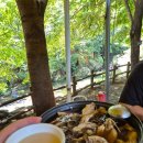 퉁퉁소 | 시원한 제천 덕동계곡에서 물놀이와 닭백숙 맛집 퉁퉁소펜션에서 당일치기 피서후기!