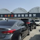 용인 남사 화훼단지 모종, 에르베 플라워 후기