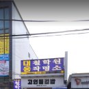 고인돌 김밥 네이버블로그
