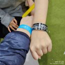 코리아 푸드스토리 | 2025 서울 일러스트코리아 방문후기 (입장권 구매/주차/일러스트코리아 관람 꿀팁/구매언박싱)