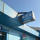 국제 | 쭈꾸미 낚시 시간, 준비물, 채비, 인천 국제유선 후기