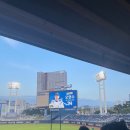 창원NC파크에서 일어난 일...🦕⚾️🦖