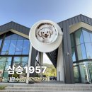 홍성군청 별관1동 1층 | 대구 수성못 애견동반 카페 [삼송1957] 애견동반 솔직후기 대구 대형 베이커리 카페