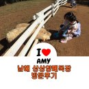 다가현목장 | 남해 상상양떼목장 방문 후기 /경남 아이와 가볼만한 곳