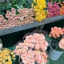 야간)영상제작 | 셀프웨딩촬영으로 식전영상 만들기, 서울 셀프웨딩촬영 장소추천 및 셀프부케 제작후기!