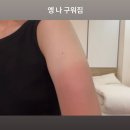언노운커피(Unknown coffee) | 여행 | 길치의 전기 자전거 타고 소류구 한 바퀴 후기 (대여 업체 Jgogo 가볼만한곳 카페 추천 스쿠터x)