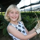 금산군청 광장 이미지