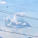 대포갯벌 이미지