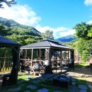 홍시와 똘마니들 이미지