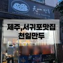 천일만두 | [천일만두]서귀포 맛집 천일만두 내돈내산 후기, 웨이팅도 납득되는 중식 맛집🥟