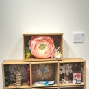 멍노리터 이미지