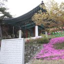 신라향 이미지