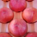 참새골농원 이미지