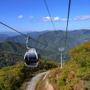 정선축사 이미지