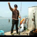 대륙수산 이미지