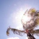 소하초등학교 이미지