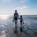 호미들고스테이 이미지