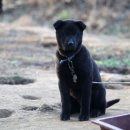 사기막 농장 이미지