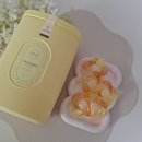 블루밍명품세탁 | 클라 캡슐세제 CLA 클라 5in1 캡슐세제 퍼퓸 내돈내산