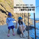 [1일차] 울릉도 맛집 찾는 팁 / 태양식당 :: 행남해안산책로 :: 울릉약소숯불가든