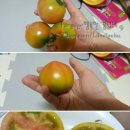 아영농장 이미지