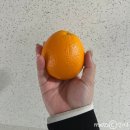 신평연합의원 | 220501 ~ 5월 일기 전반전