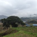 나훈아노래방 이미지