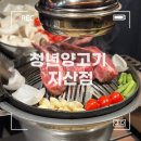 [대구/수성구] 다 구워주는 수성구 양고기 맛집 | 청년양고기 지산점