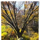 마티고개 이미지