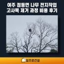 여주 점동면 나무 전지작업 고사목 제거 과정 비용 후기