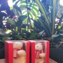 버블게임랜드 이미지