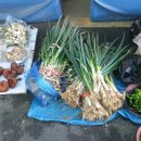 송라시장 이미지