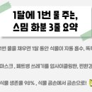 나무플래닛 이미지