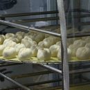 1985 신단양 왕만두 이미지