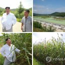 평남목장 이미지