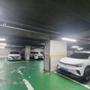 일송노블레스 이미지