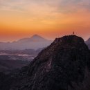 부신농장 이미지