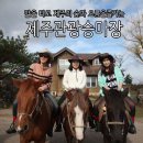 제주교래승마장