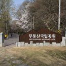 화순읍사무소 입구 이미지