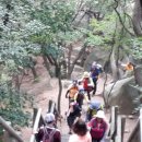 호권 이미지