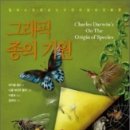 예스그래픽