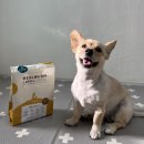 주식회사 픽앤픽 | 강아지 가수분해사료 피니키 밀웜 앤 크릴