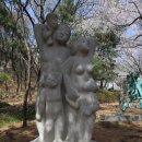 싹터나는 아침 이미지