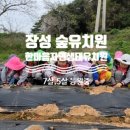 한마음자연생태유치원 이미지