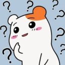 팔마장