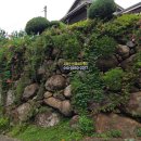 지리산산새소리펜션
