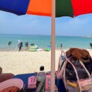 SK삼척주유소 | 휴가떠나기(2) 셀토스가 쏘렌토가 되버린 건에 대하여.../ sk렌터카후기/ 삼척여행 용화해수욕장 장호항
