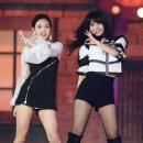 모모플러스 이미지
